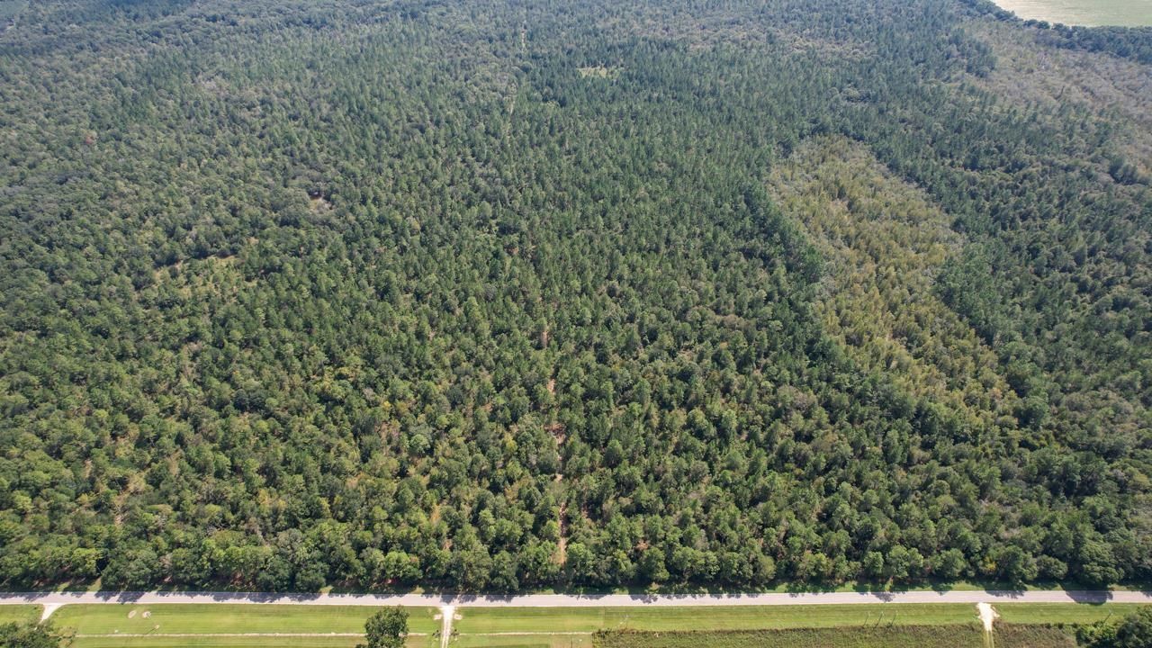 000 Glory Road, Quincy, FL 32352 Photo