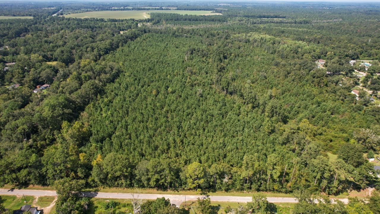 000 Timmons Road, Gretna, FL 32332 Photo