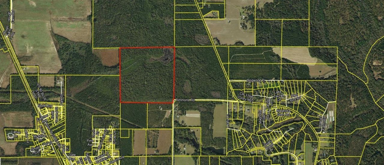 000 Timmons Road, Gretna, FL 32332 Photo