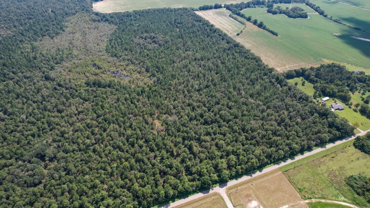 000 Timmons Road, Gretna, FL 32332 Photo