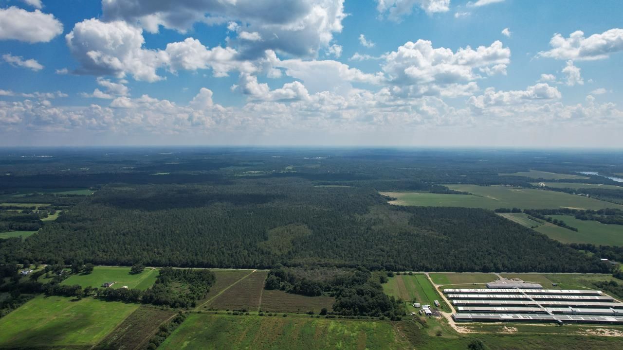 000 Timmons Road, Gretna, FL 32332 Photo