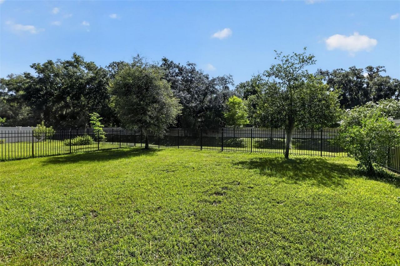 3145 Jade Tree Point , Oviedo, FL 32765 Photo