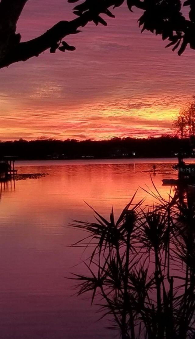 236 S Shadowbay Boulevard, Longwood, FL 32779 Photo