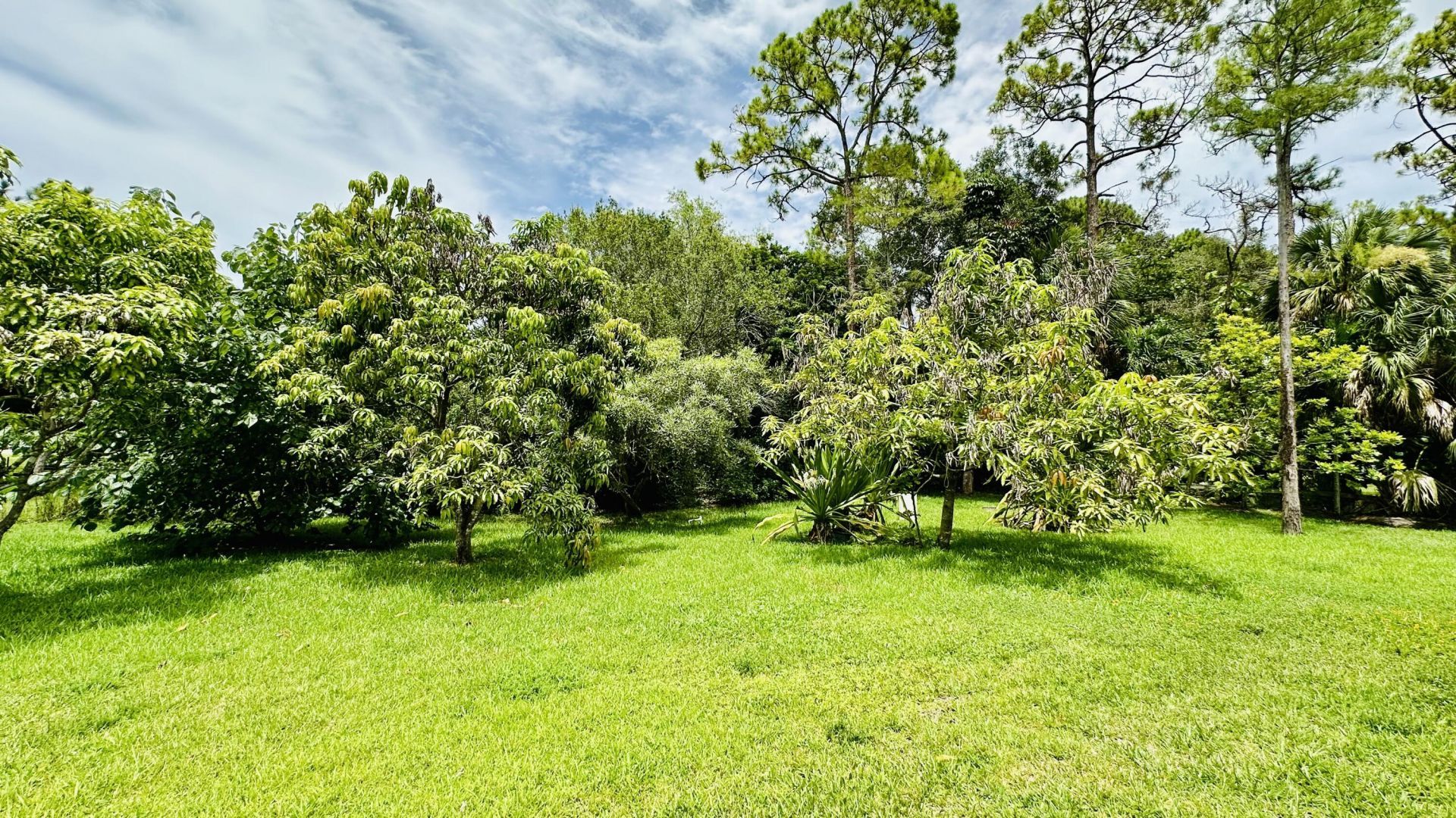 16611 68th Street N, The Acreage, FL 33470 Photo