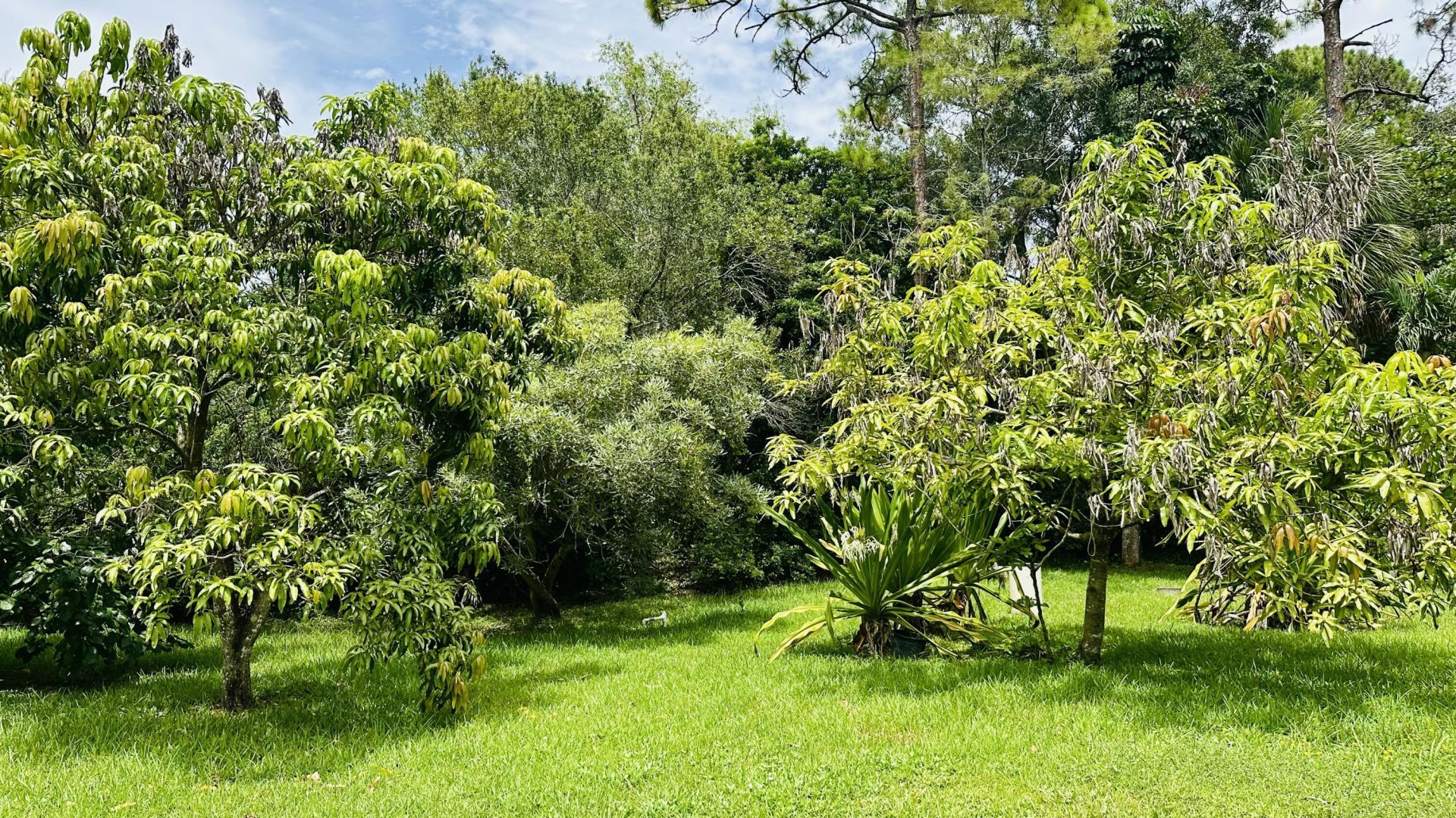 16611 68th Street N, The Acreage, FL 33470 Photo