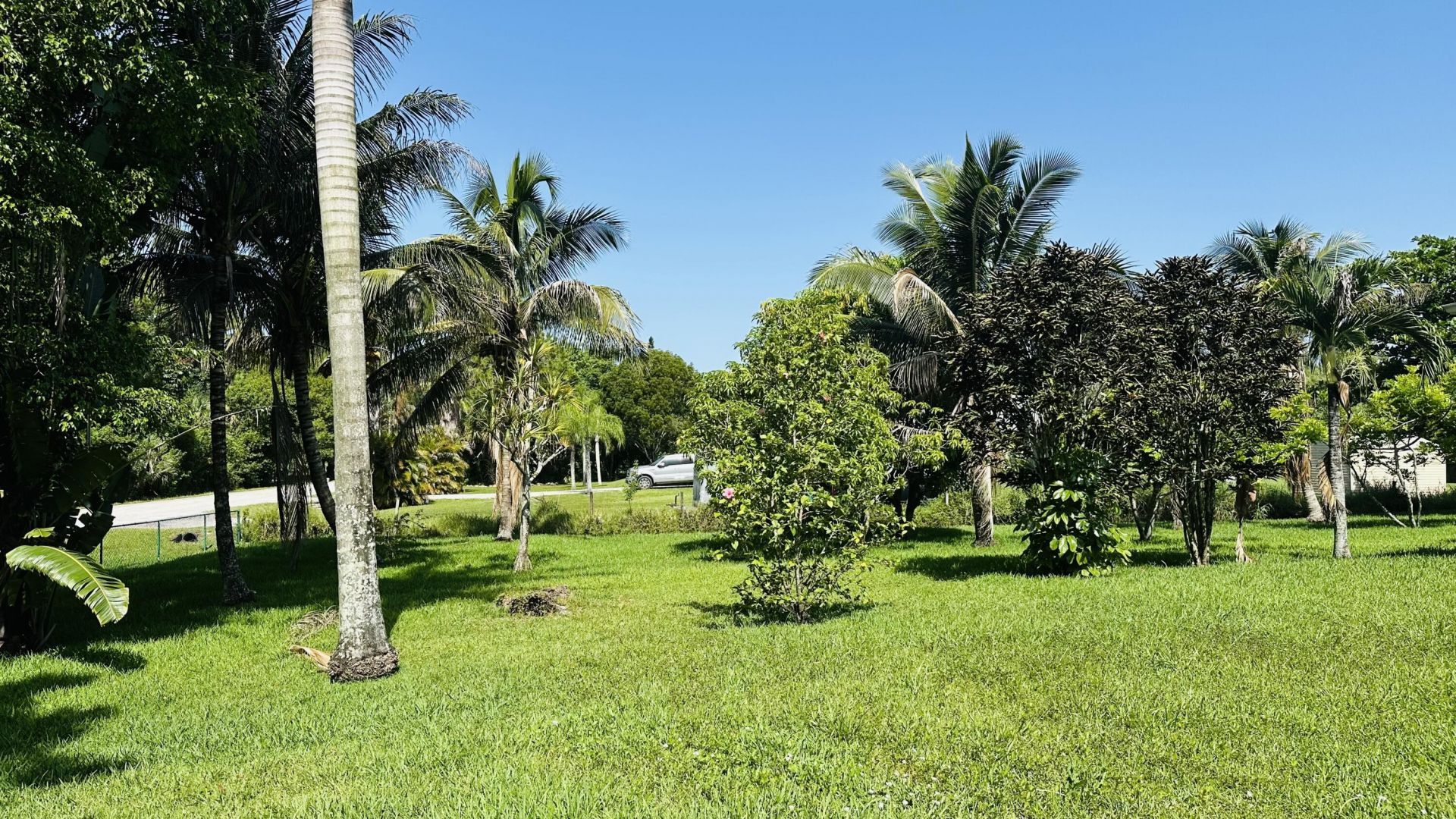 16611 68th Street N, The Acreage, FL 33470 Photo