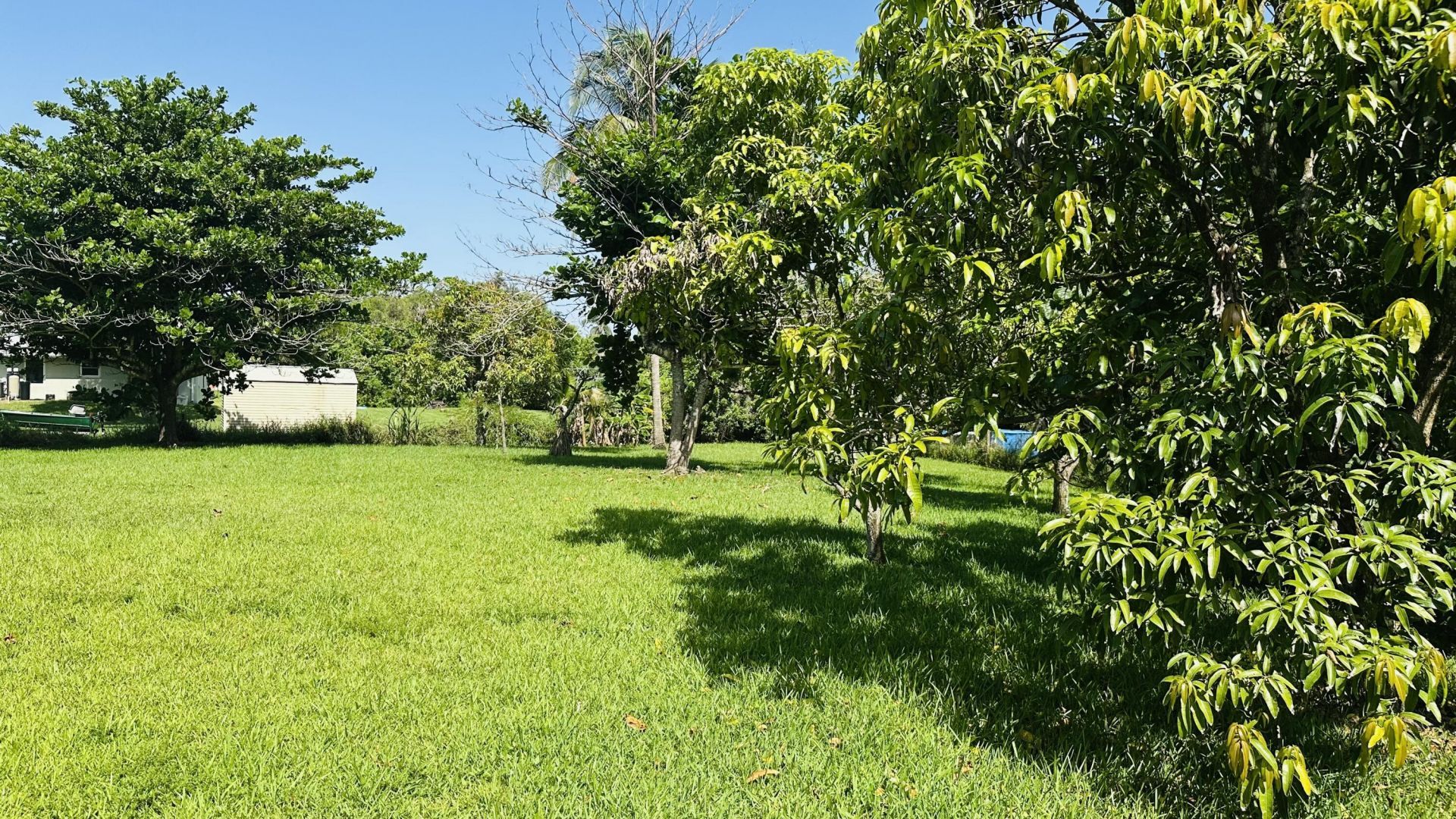 16611 68th Street N, The Acreage, FL 33470 Photo