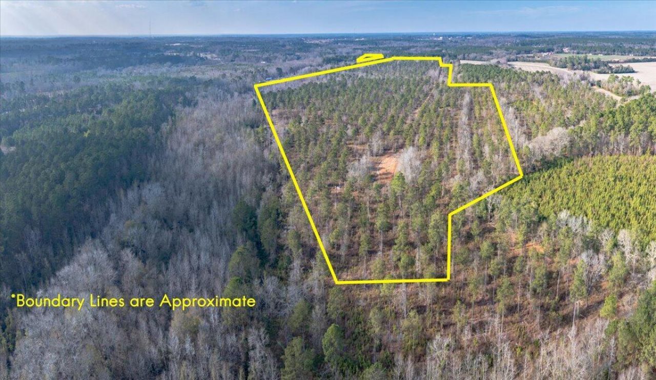 3246 Belleville Road Photo 10
