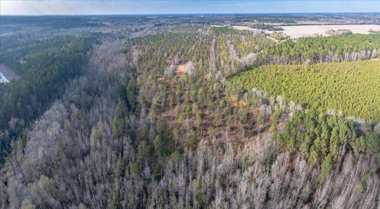 3246 Belleville Road Photo 11