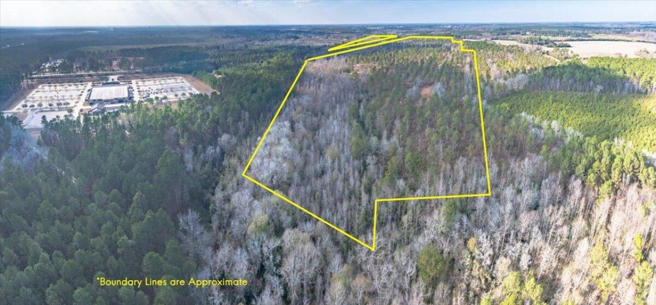 3246 Belleville Road Photo 8