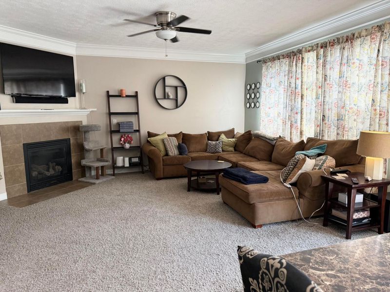 317 Mcelhinny Lane, Lewis Center, OH 43035 Photo 8