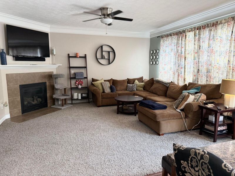 317 Mcelhinny Lane, Lewis Center, OH 43035 Photo 9