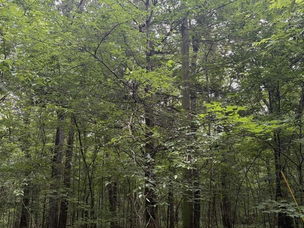 - Walter Hill Road, New Hope, AL 35760
