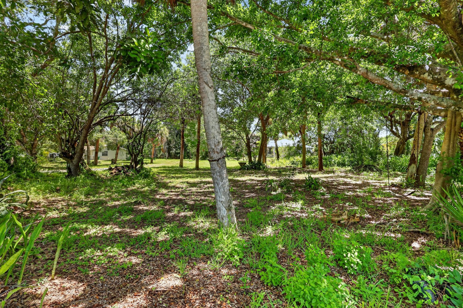 1920 N 48th Street, Fort Pierce, FL 34947 Photo