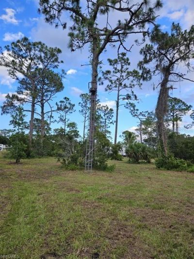 1375 W Ash Road , Labelle, FL 33935 Photo