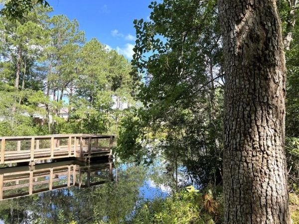 TBD Lot 1 S Marsh Landing, Unit TBD (Lot 1, Freeport, FL 32439