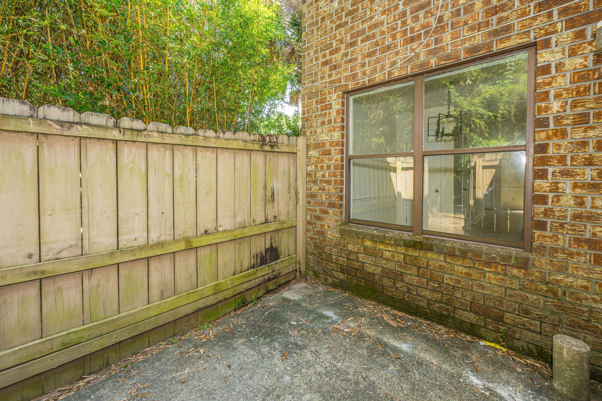 10 Bass Lane Photo 25