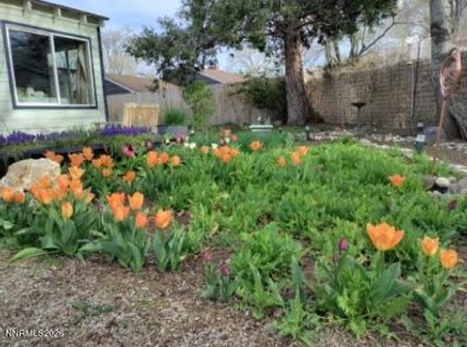 1025 Primrose Street, Reno, NV 89509 Photo