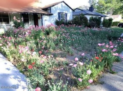 1025 Primrose Street, Reno, NV 89509 Photo