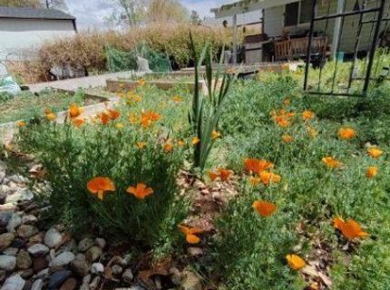 1025 Primrose Street, Reno, NV 89509 Photo
