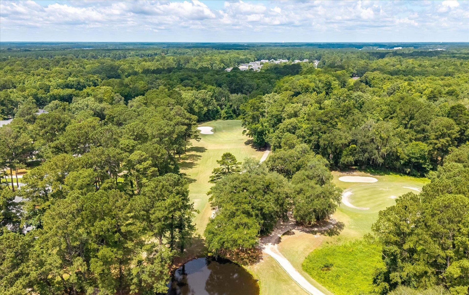 197 Golfview Lane Photo 52