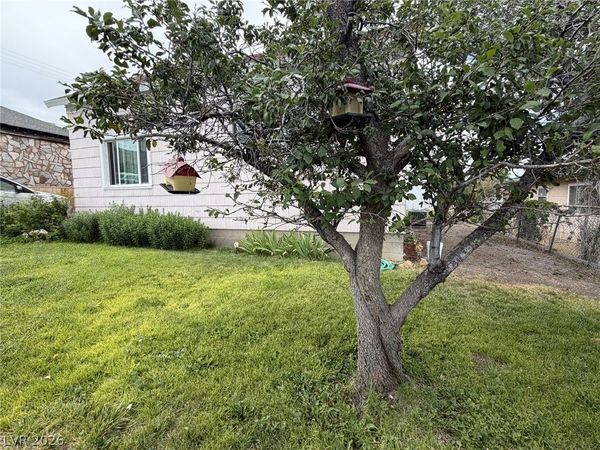 29 Avenue D , McGill, NV 89318