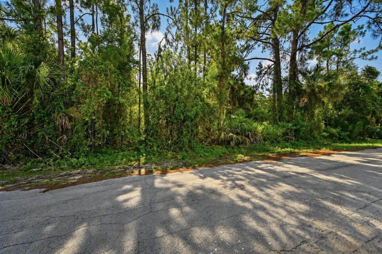 2303 Monroe Avenue, Alva, FL 33920 Photo