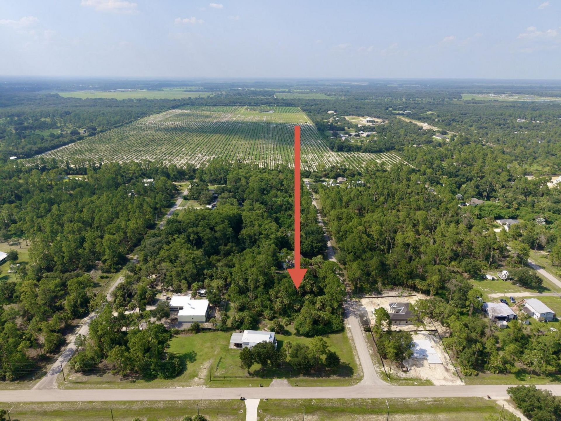 2303 Monroe Avenue, Alva, FL 33920 Photo