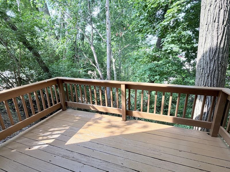 834 N West Avenue, Sidney, OH 45365 Photo 55