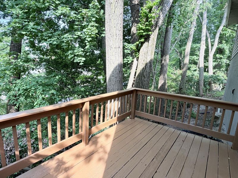 834 N West Avenue, Sidney, OH 45365 Photo 56