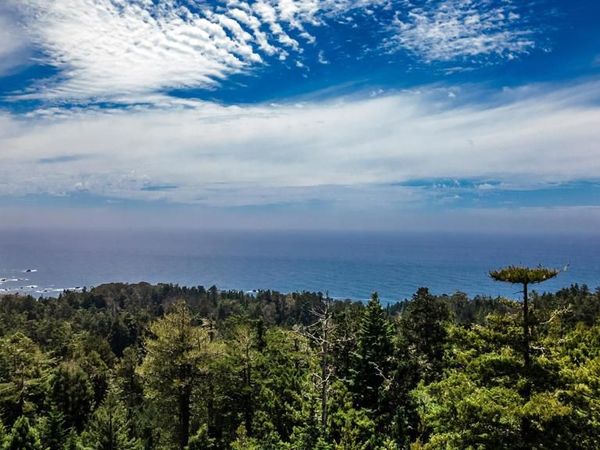 33651 Carson Hill Road, Little River, CA 95456