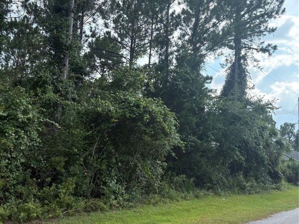 17 UHLERWOOD COURT , PALM COAST, FL 32164