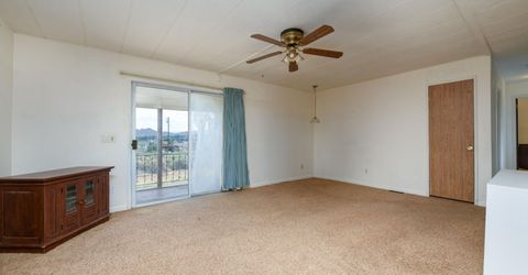 10 Wild Peach Lane, Wellington, NV 89444 Photo