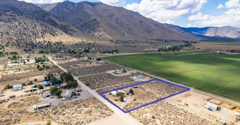 10 Wild Peach Lane, Wellington, NV 89444 Photo