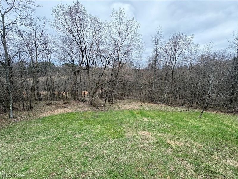 41317 Plainview Road , Woodsfield, OH 43793 Photo 37