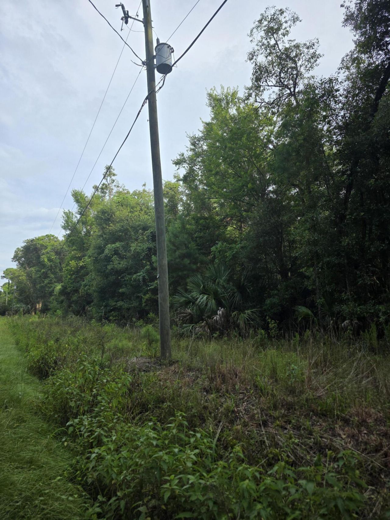 7929 Legare Road Photo 6