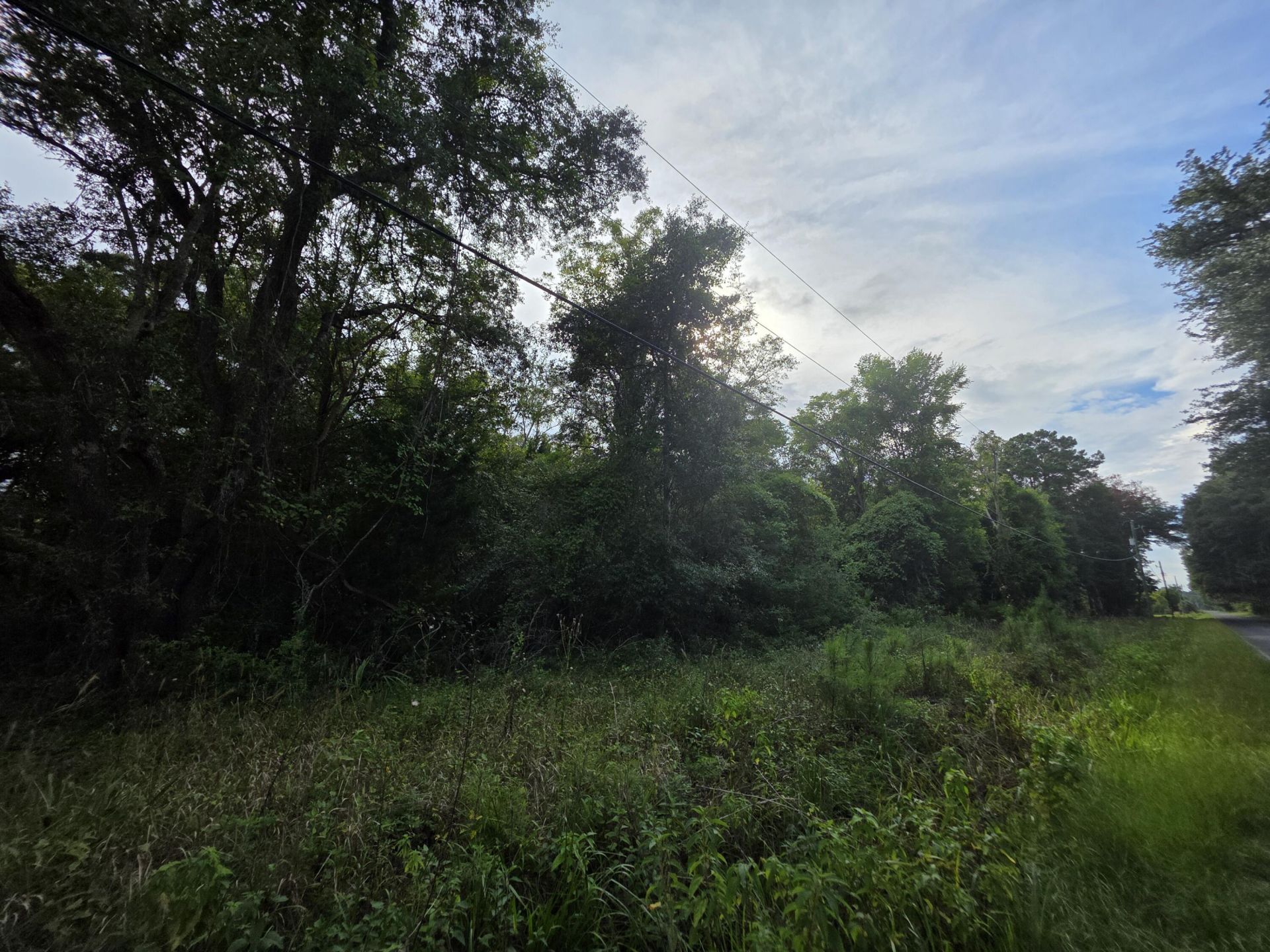 7929 Legare Road Photo 9