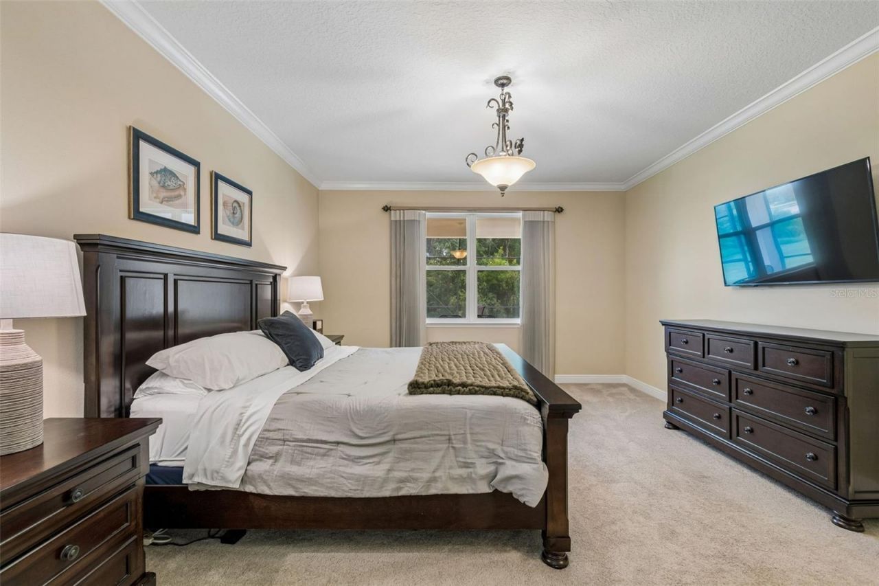 1804 Bella Casa Court, Tampa, FL 33618 Photo