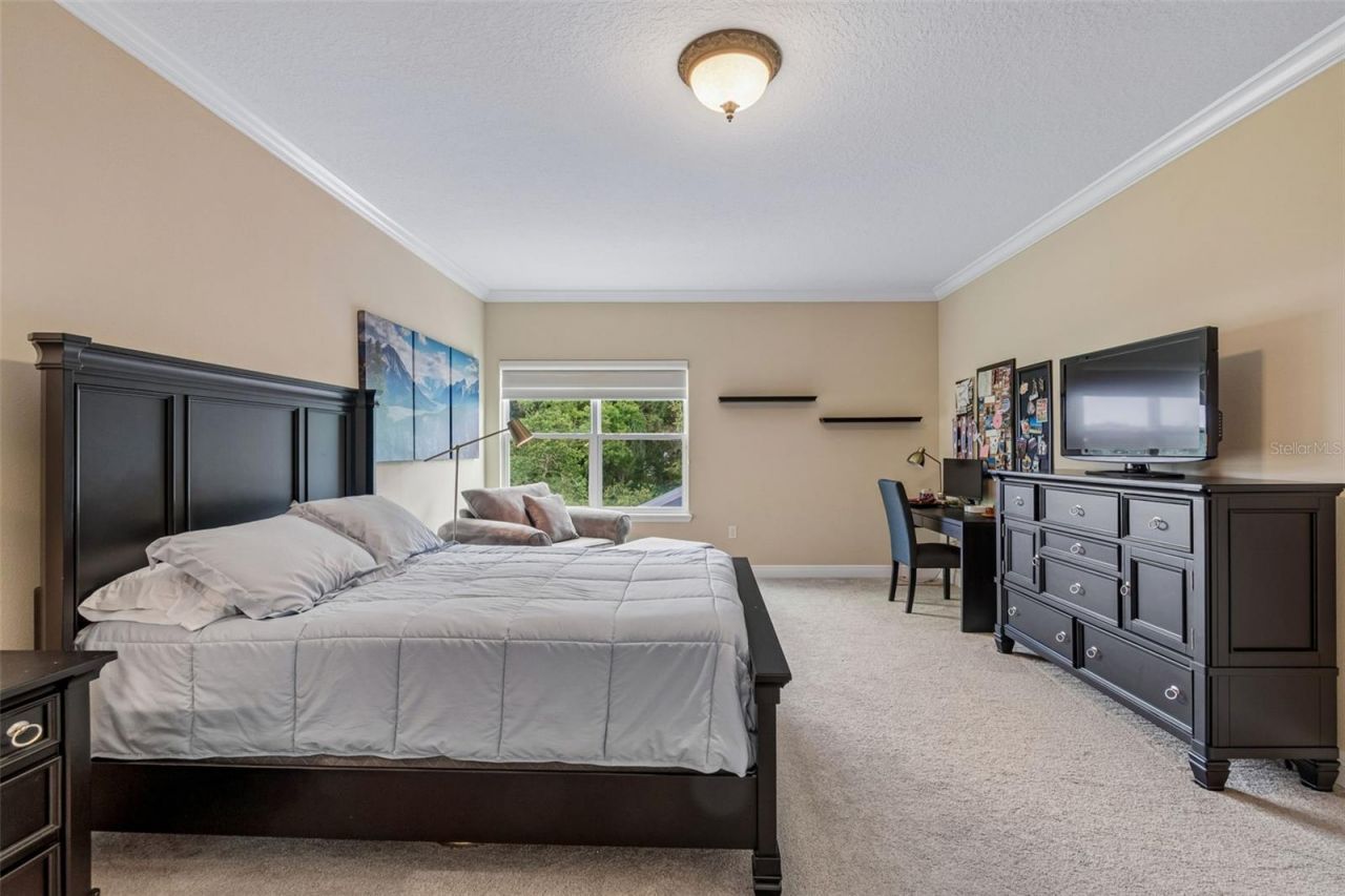 1804 Bella Casa Court, Tampa, FL 33618 Photo