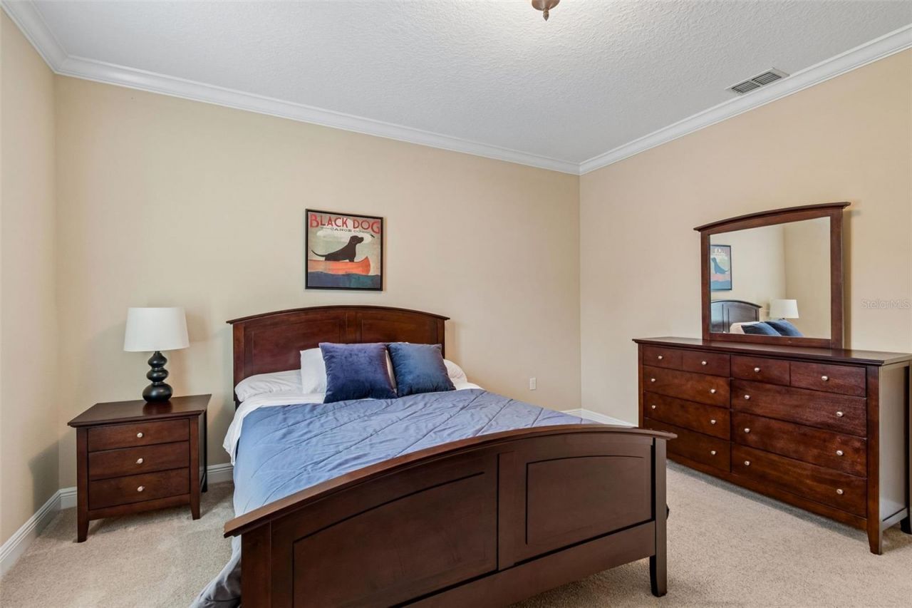 1804 Bella Casa Court , Tampa, FL 33618 Photo