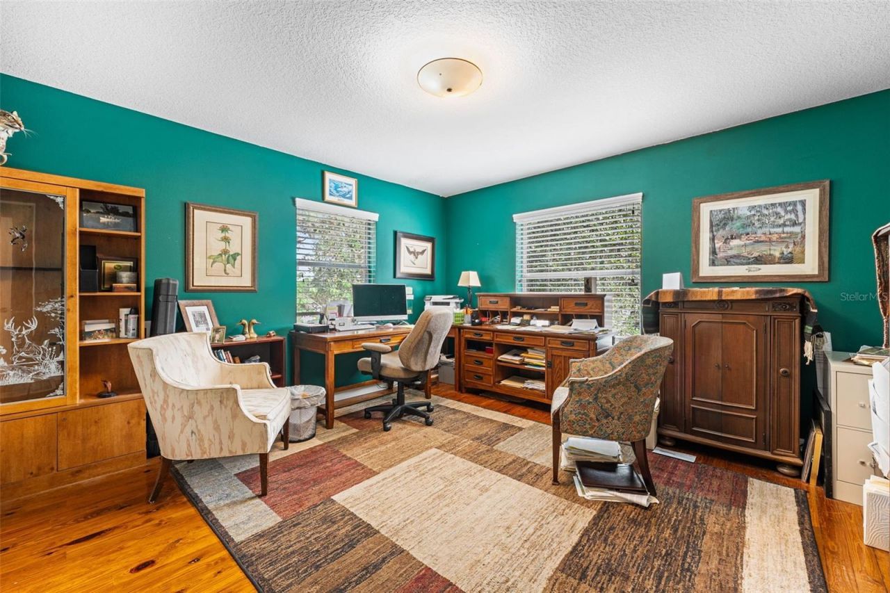 33415 Kiefer Road , Wesley Chapel, FL 33545 Photo