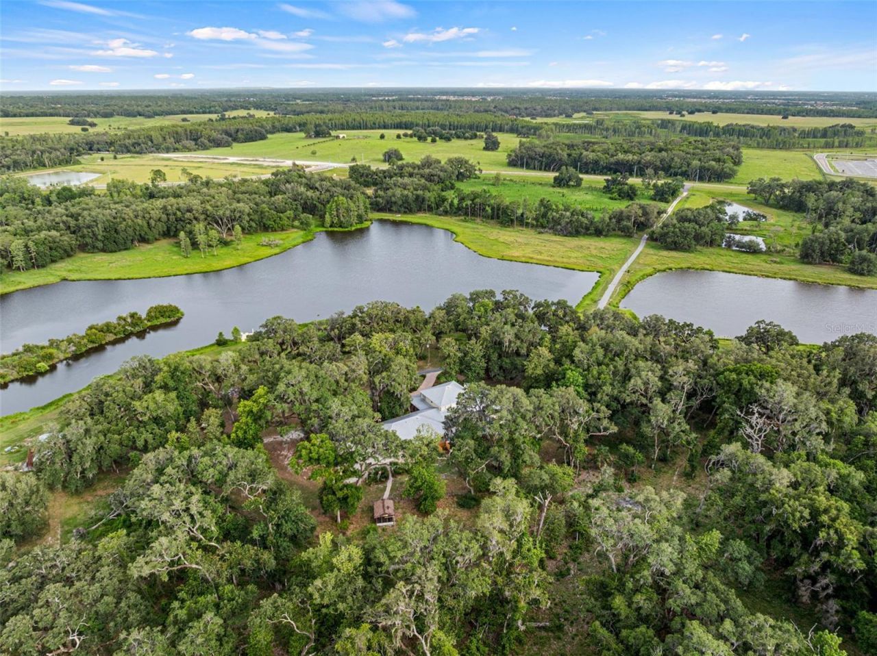 33415 Kiefer Road , Wesley Chapel, FL 33545 Photo