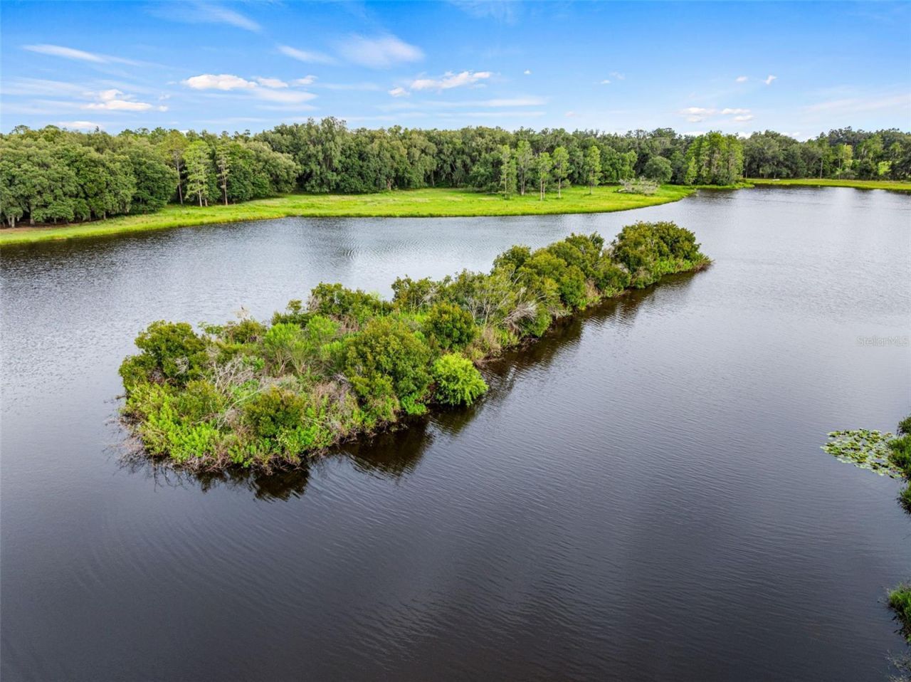 33415 Kiefer Road , Wesley Chapel, FL 33545 Photo