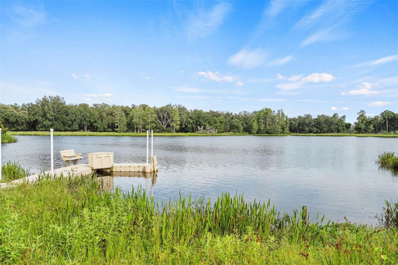33415 Kiefer Road , Wesley Chapel, FL 33545 Photo