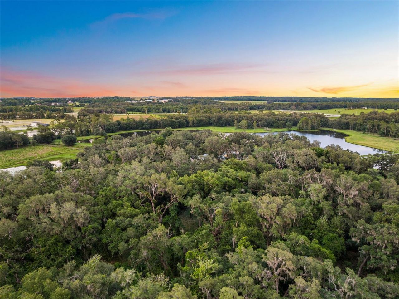 33415 Kiefer Road , Wesley Chapel, FL 33545 Photo
