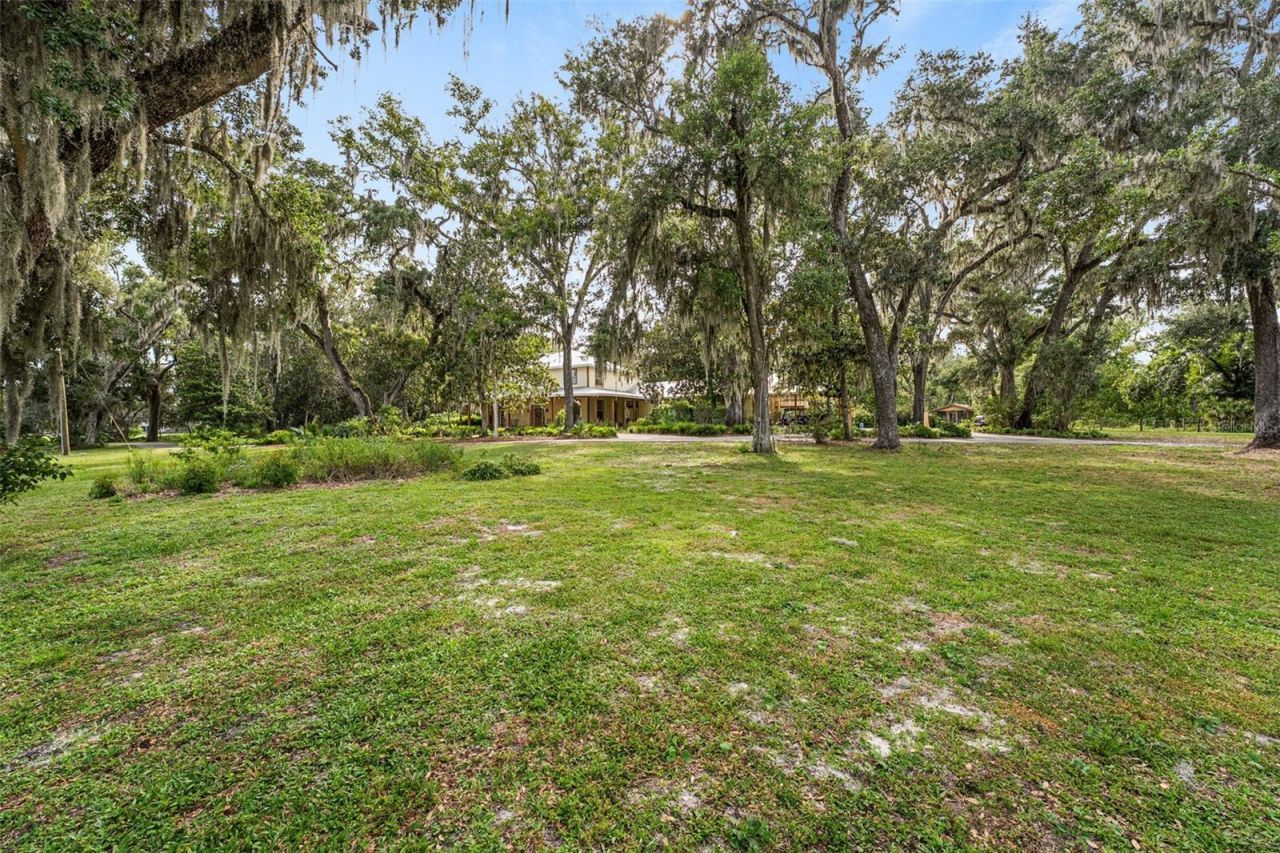 33415 Kiefer Road , Wesley Chapel, FL 33545 Photo