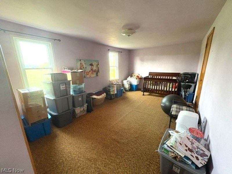12666 S State Line Road, Petersburg, OH 44454 Photo 21