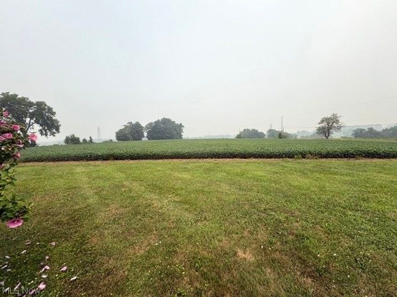 12666 S State Line Road, Petersburg, OH 44454 Photo 43