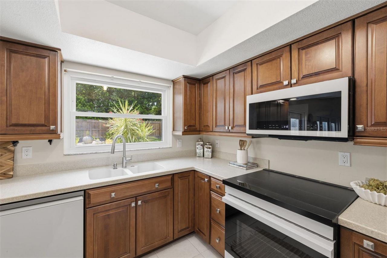 11007 Theresa Arbor Drive, Tampa, FL 33617 Photo