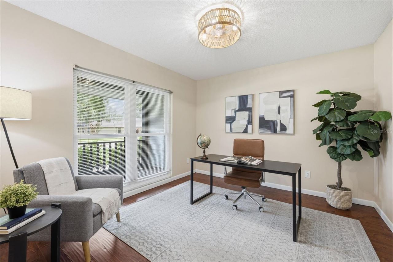 11007 Theresa Arbor Drive, Tampa, FL 33617 Photo